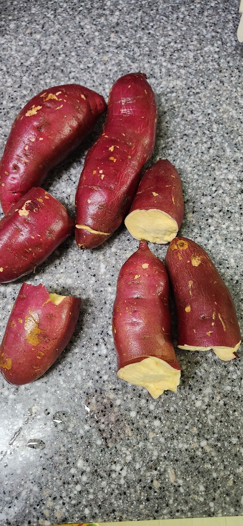 슬기함정~^님의 장터 구매 후기 썸네일