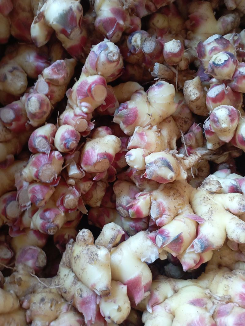 윤성애님의 장터 구매 후기 썸네일