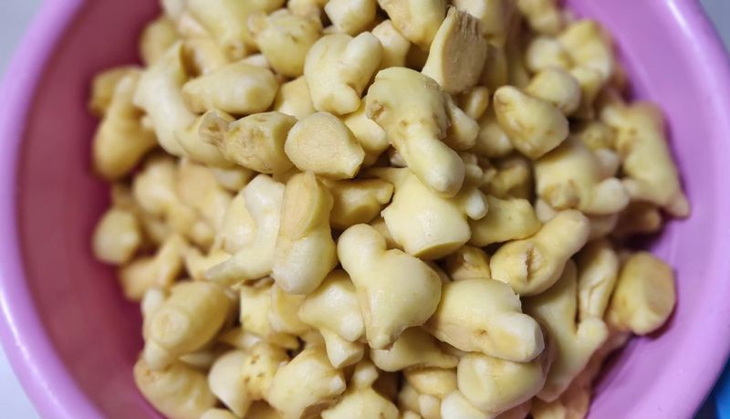 슬기함정~^님의 장터 구매 후기 썸네일