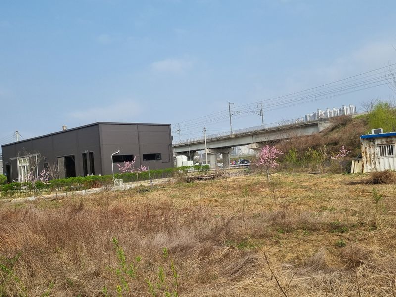 송용찬님의 장터 구매 후기 썸네일