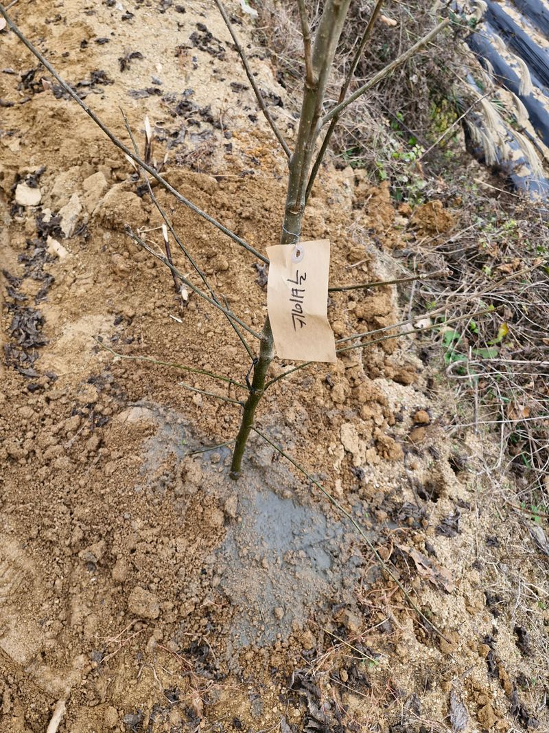 !정의규님의 장터 구매 후기 썸네일
