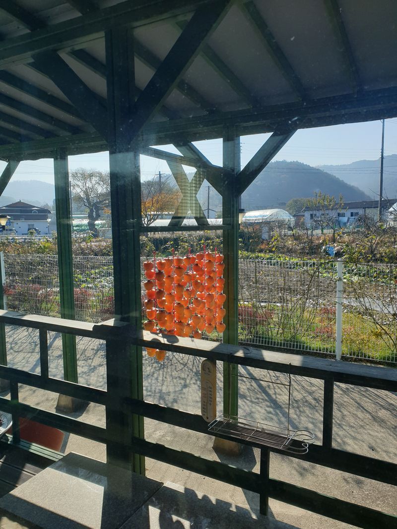 신득경님의 장터 구매 후기 썸네일