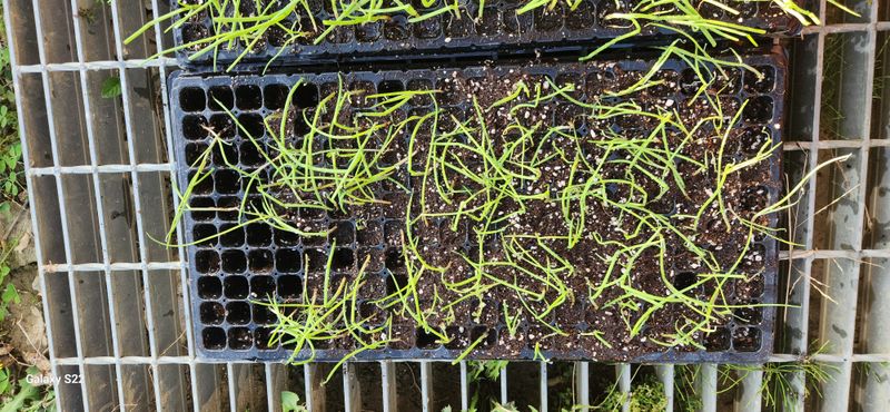 이명화님의 장터 구매 후기 썸네일