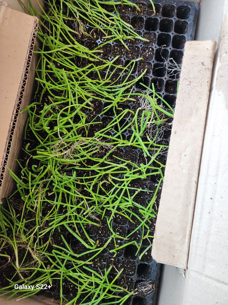 이봉한 님의 장터 구매 후기 썸네일