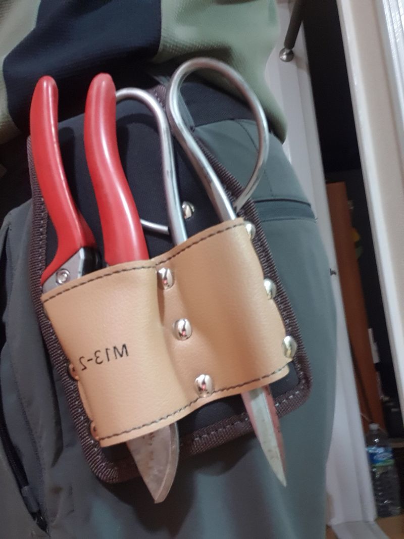 덕 원/허님의 장터 구매 후기 썸네일