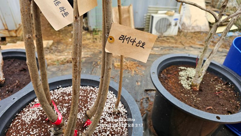 윤지상님의 장터 구매 후기 썸네일