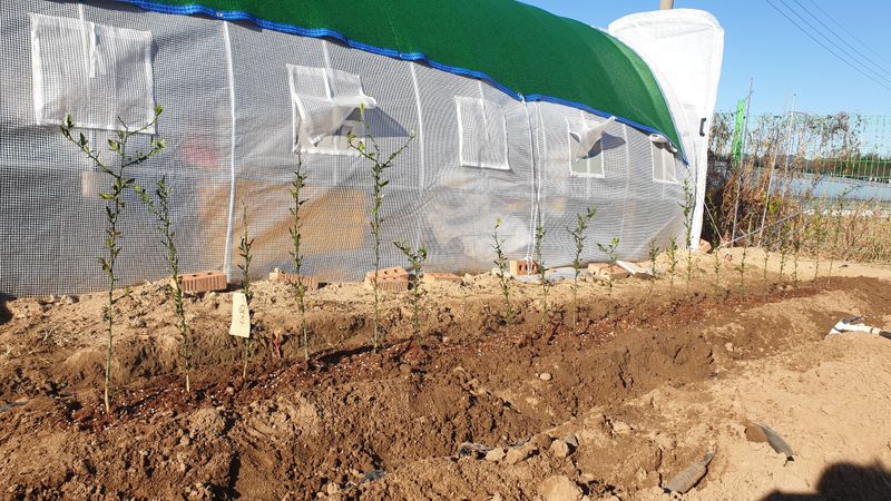 동읍초보임화영님의 장터 구매 후기 썸네일