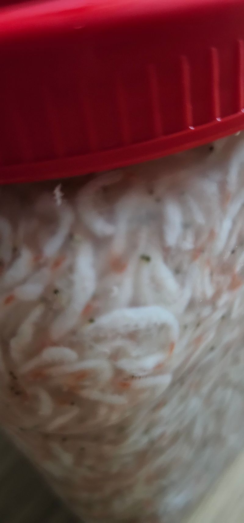 최미경님의 장터 구매 후기 썸네일