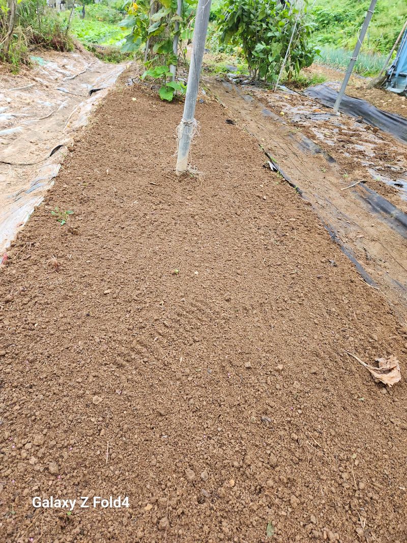 이훈정(시몬)님의 장터 구매 후기 썸네일