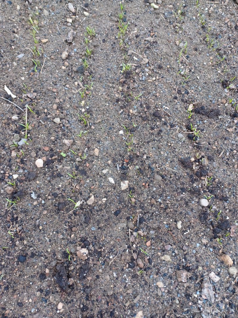 작은행복님의 장터 구매 후기 썸네일