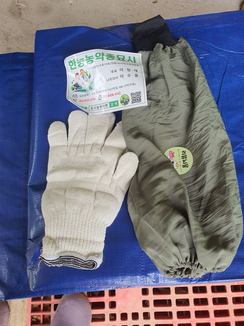 엘림농장님의 장터 구매 후기 썸네일