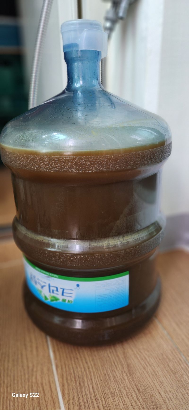 접시꽃님의 장터 구매 후기 썸네일