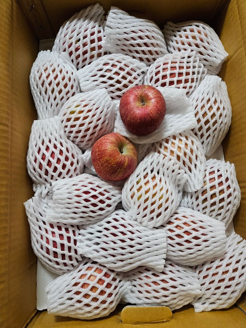 춘천(세모돌이)님의 장터 구매 후기 썸네일