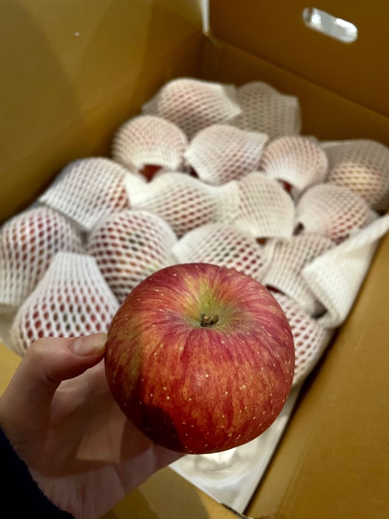 금숙님의 장터 구매 후기 썸네일