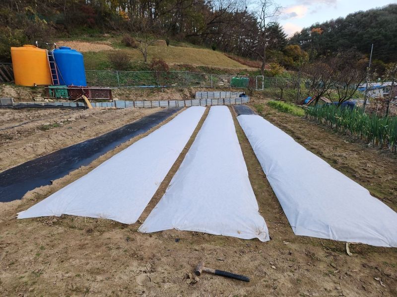 박상진님의 장터 구매 후기 썸네일