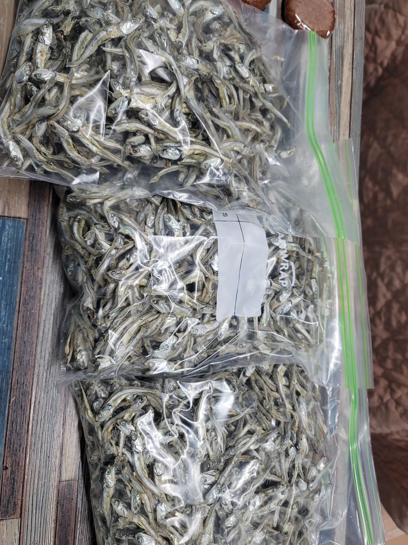 김재일님의 장터 구매 후기 썸네일