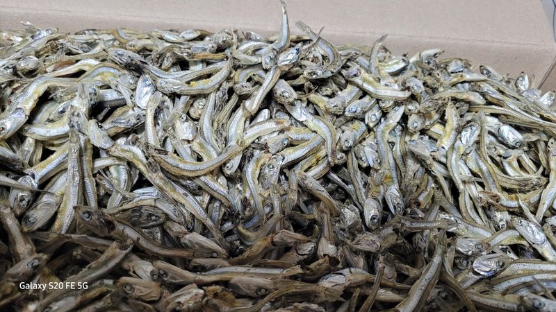 영란충남청양군님의 장터 구매 후기 썸네일