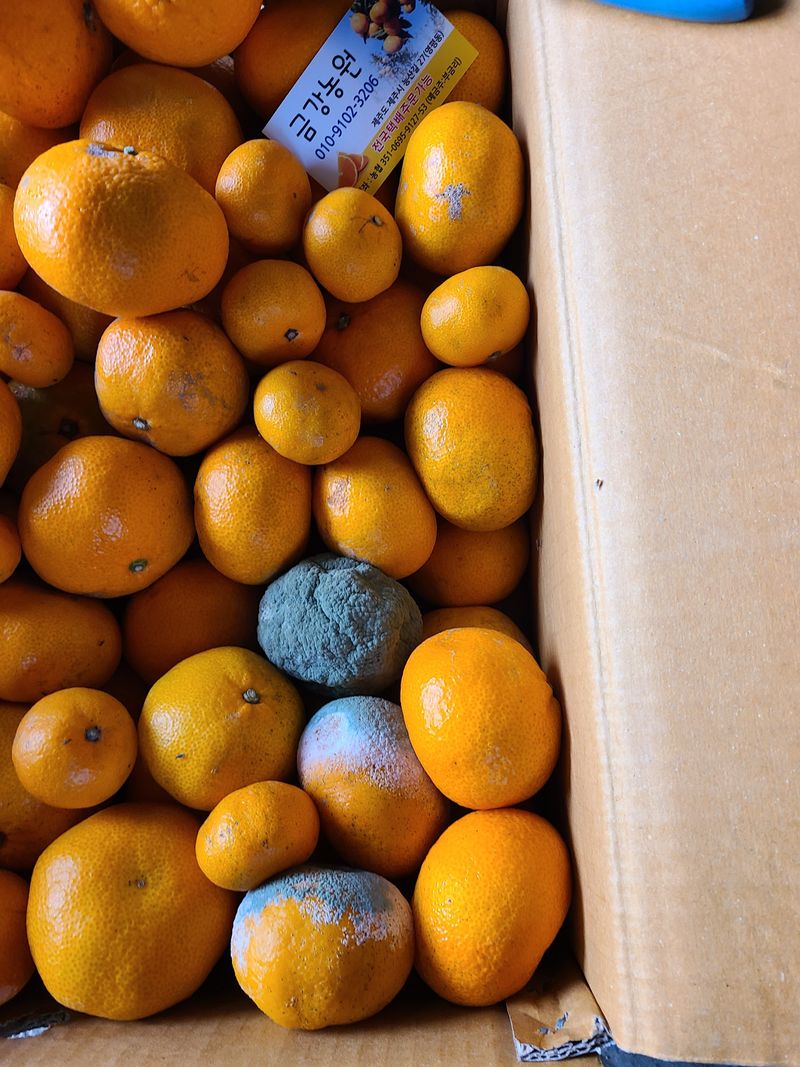 희망농원( 새농민)님의 장터 구매 후기 썸네일