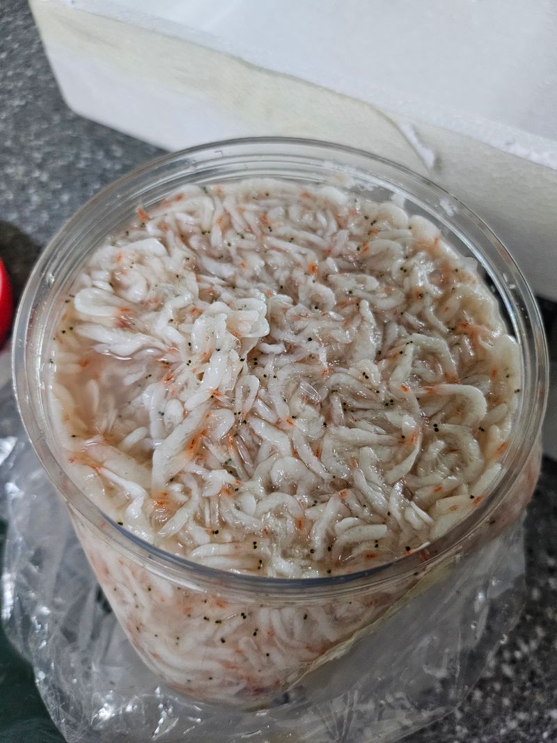 보영님의 장터 구매 후기 썸네일