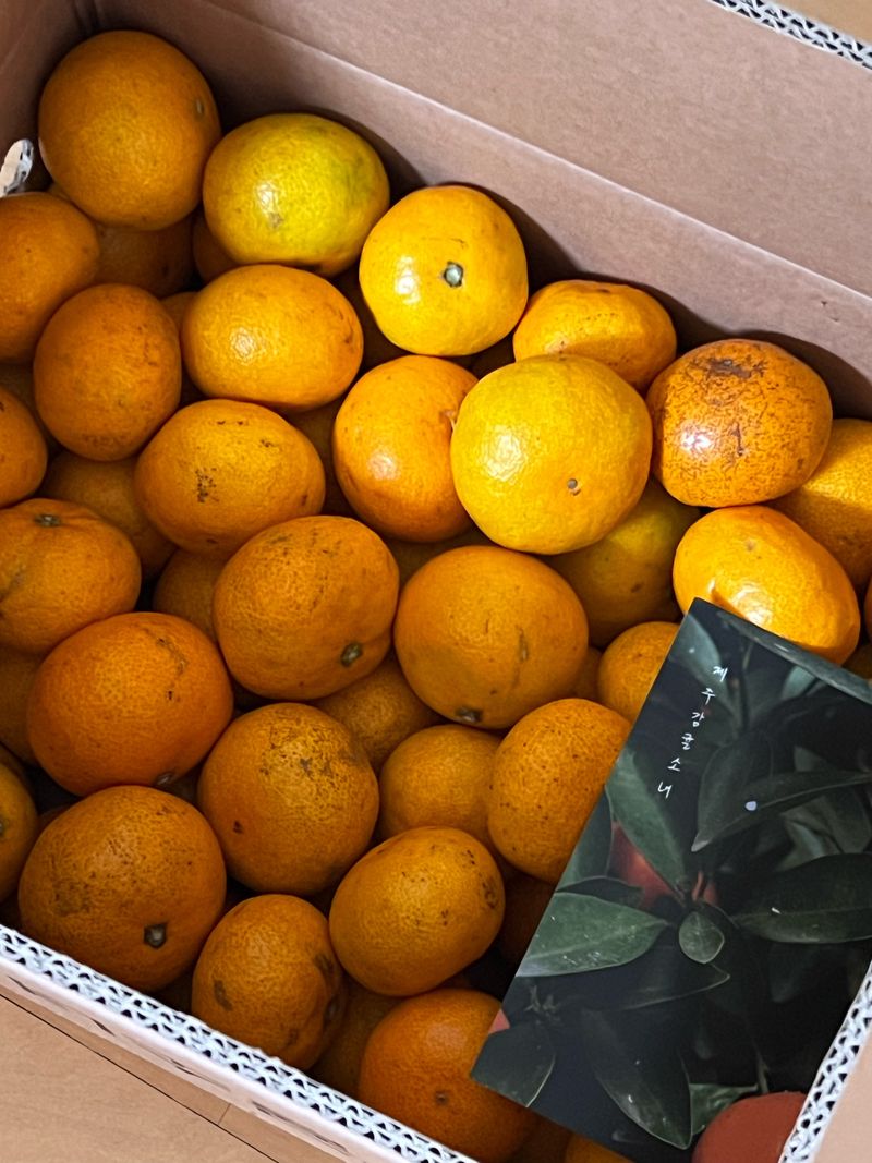 이지선님의 장터 구매 후기 썸네일