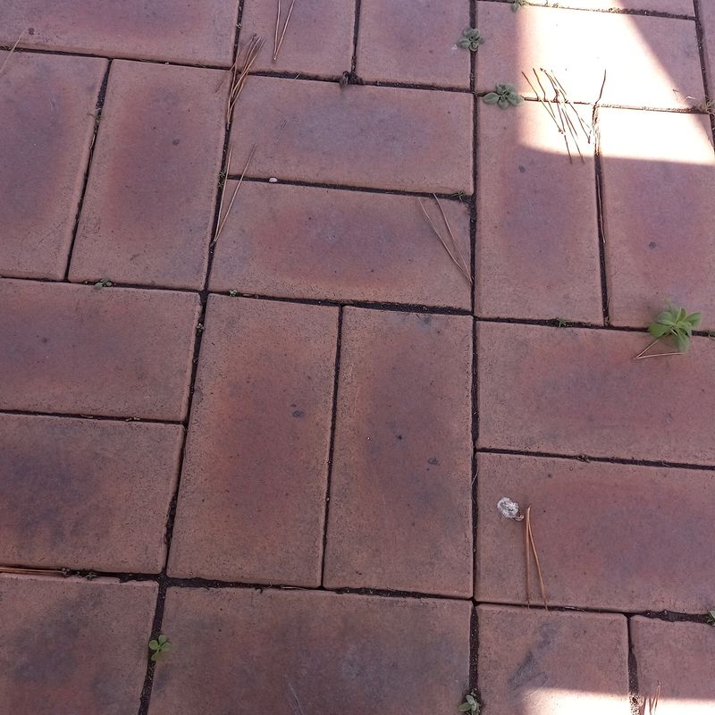 임용이 님의 장터 구매 후기 썸네일