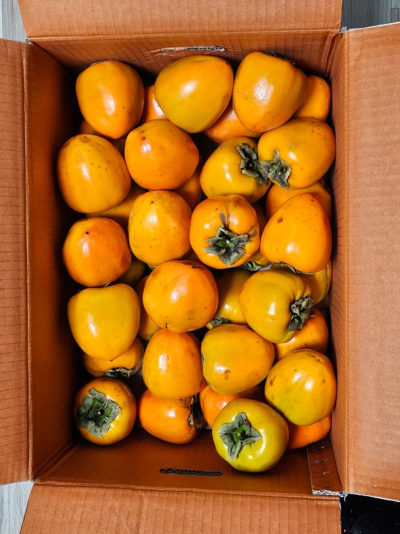 김진덕님의 장터 구매 후기 썸네일