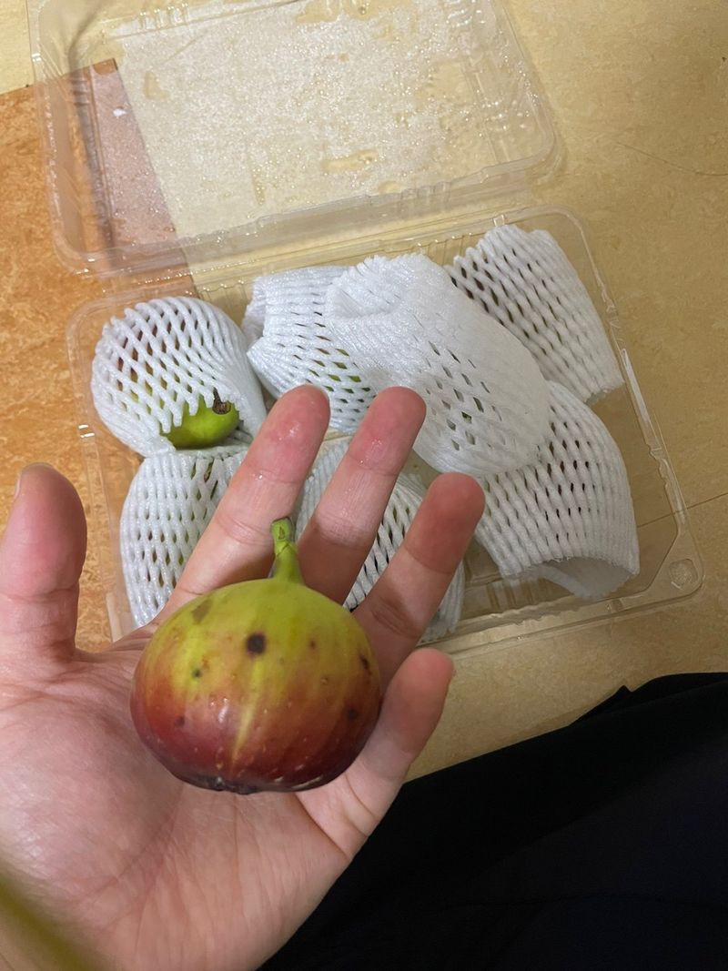 김동윤님의 장터 구매 후기 썸네일