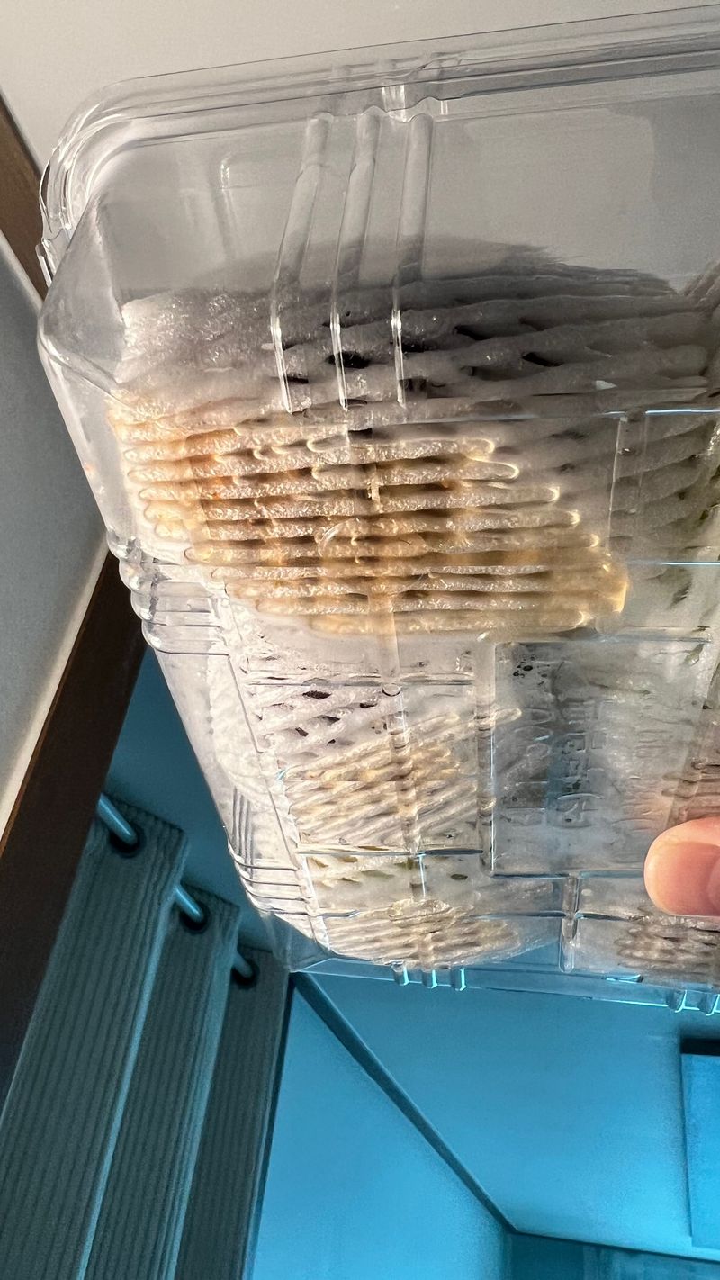 이동윤님의 장터 구매 후기 썸네일