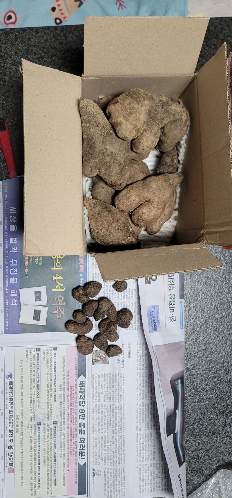 봉순이네포포님의 장터 구매 후기 썸네일