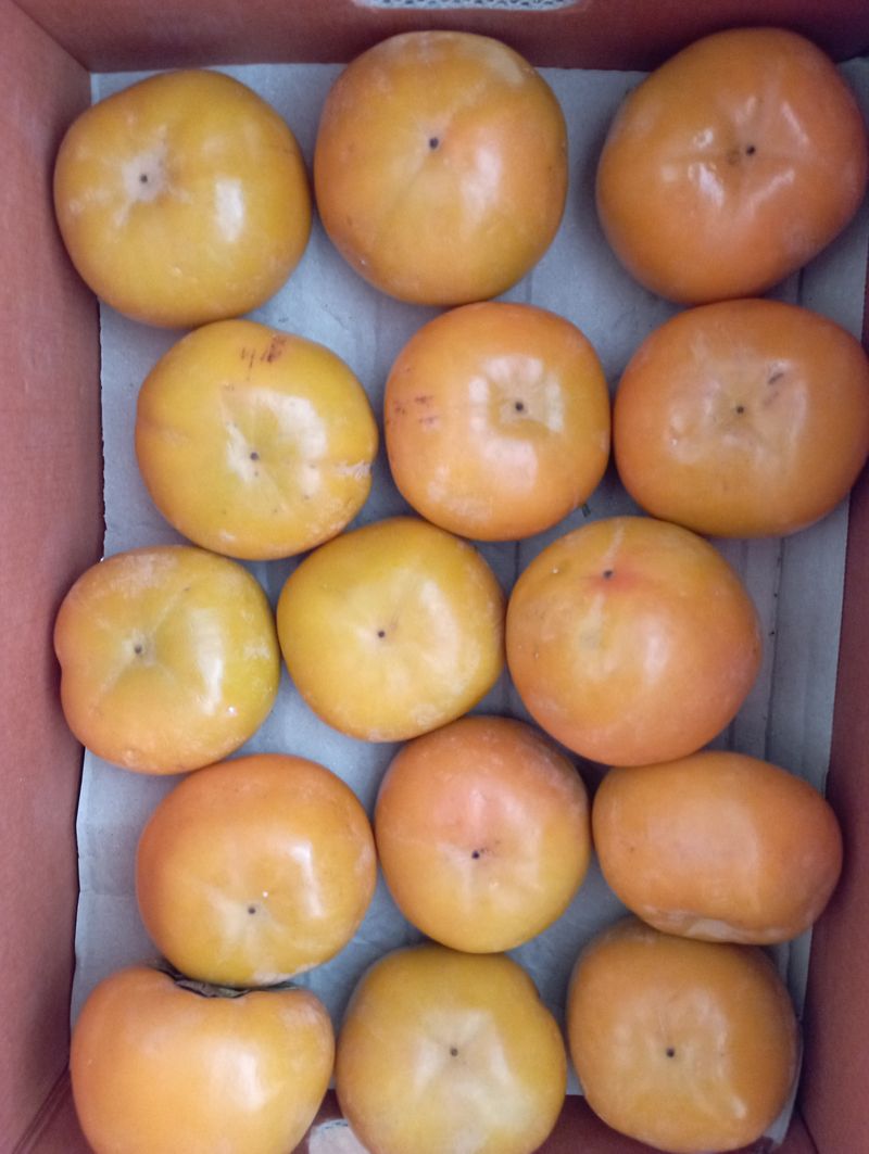 윤성애님의 장터 구매 후기 썸네일