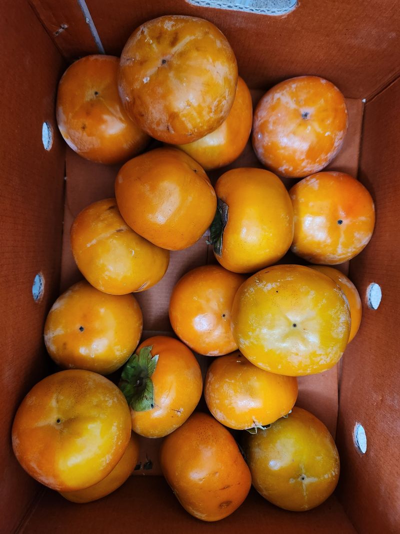 강미화11월출석왕♡님의 장터 구매 후기 썸네일