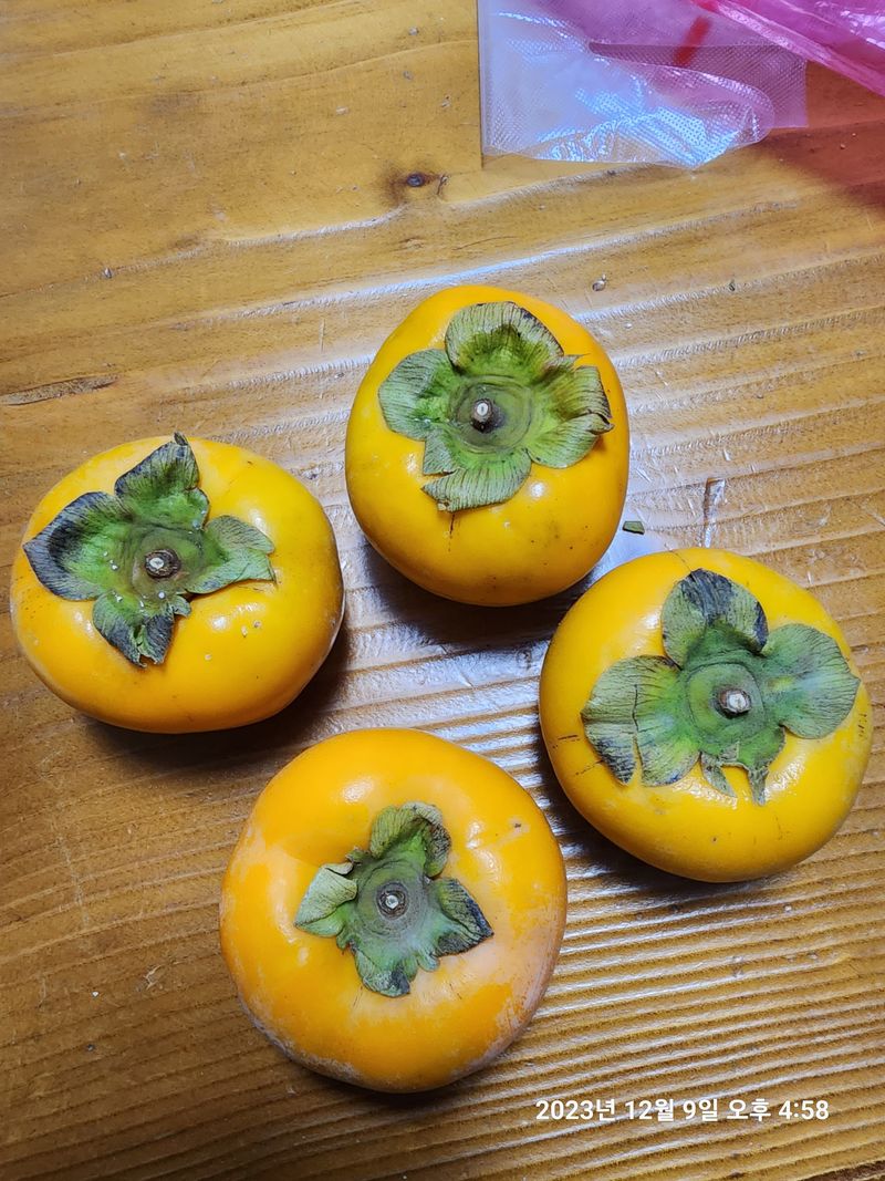 이강희님의 장터 구매 후기 썸네일