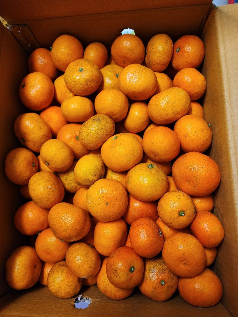 오늘날씨맑음님의 장터 구매 후기 썸네일