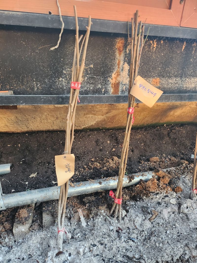 김동식님의 장터 구매 후기 썸네일