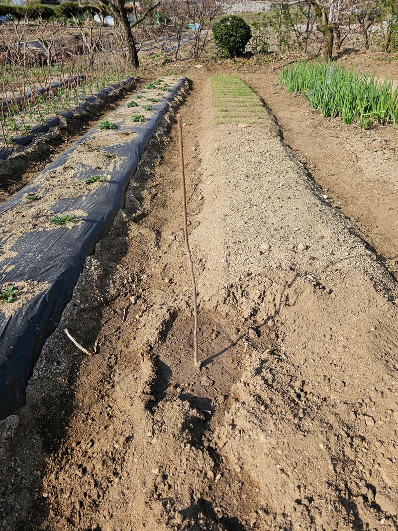 옥영곤님의 장터 구매 후기 썸네일