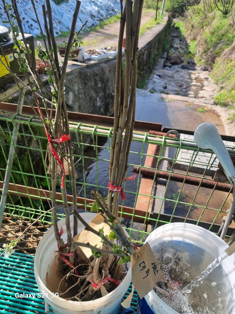 태ㅡㅡ양님의 장터 구매 후기 썸네일