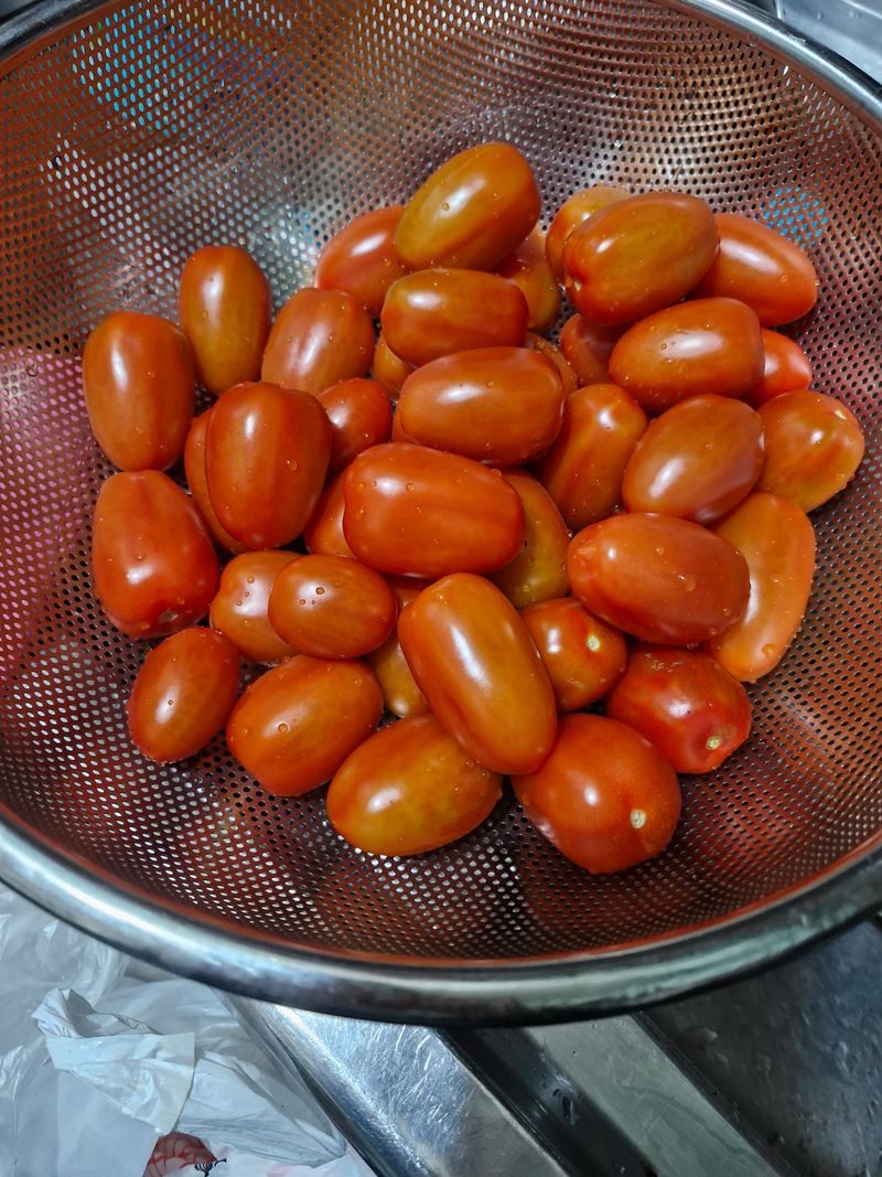 김은경님의 장터 구매 후기 썸네일