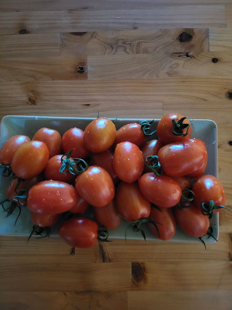 임영심님의 장터 구매 후기 썸네일