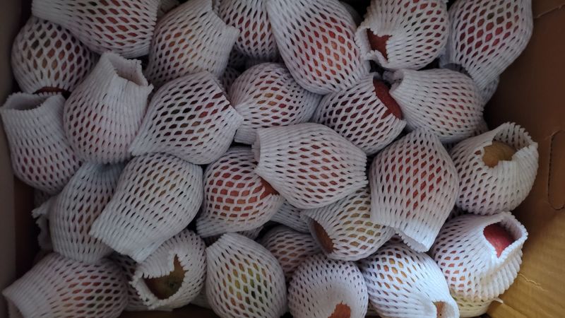 이미경님의 장터 구매 후기 썸네일