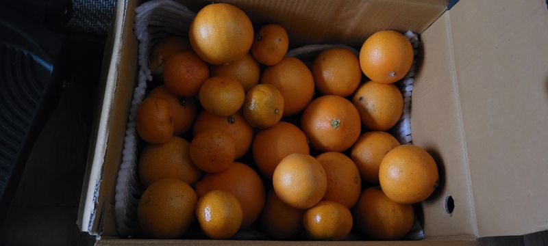 가리왕산님의 장터 구매 후기 썸네일