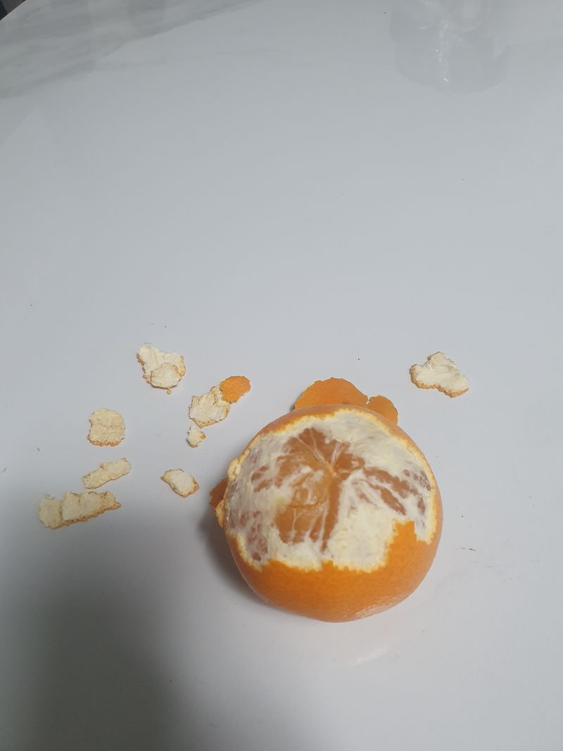 상큼너구리님의 장터 구매 후기 썸네일