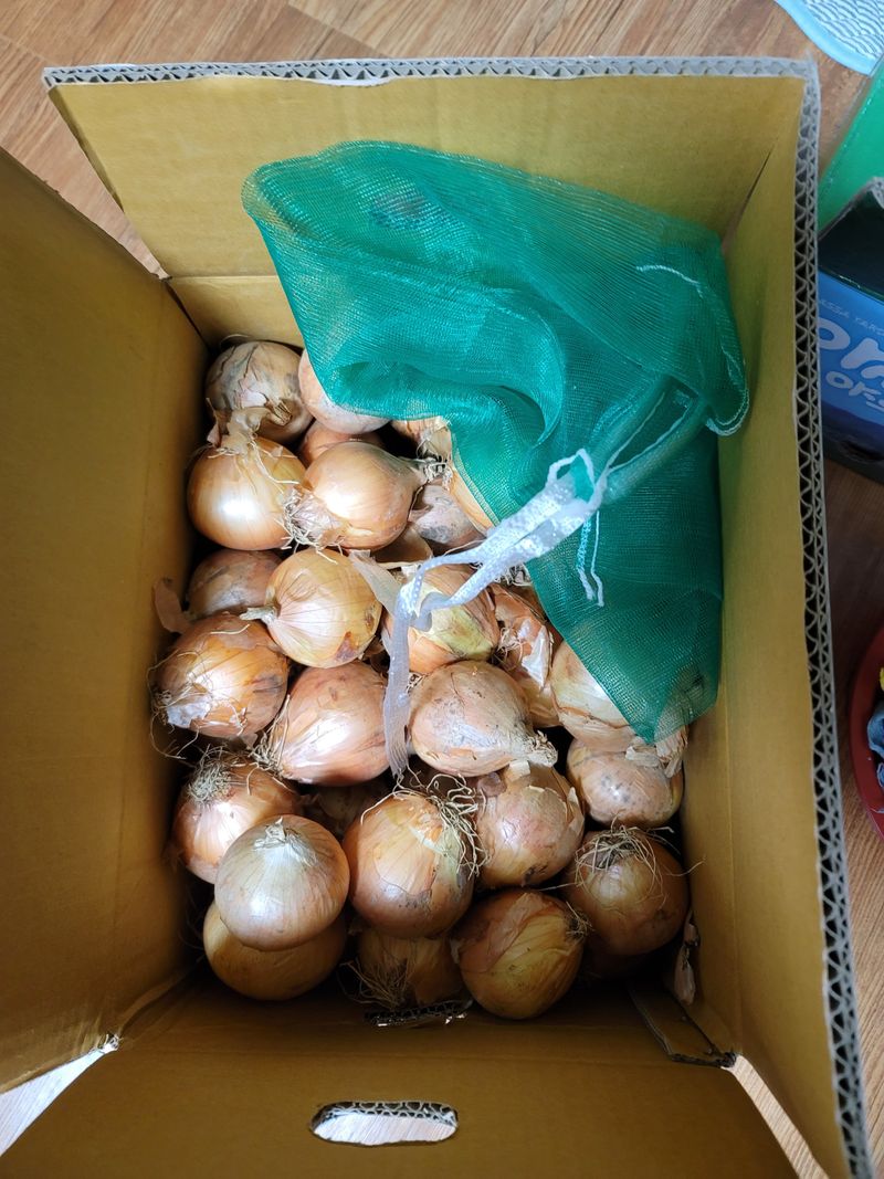 빛그린 김용화님의 장터 구매 후기 썸네일