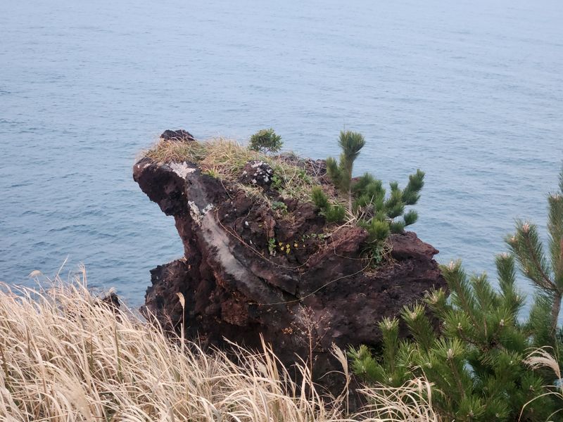 송숙현님의 장터 구매 후기 썸네일