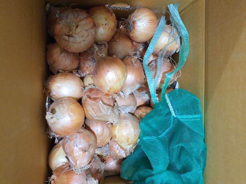 하옥희님의 장터 구매 후기 썸네일