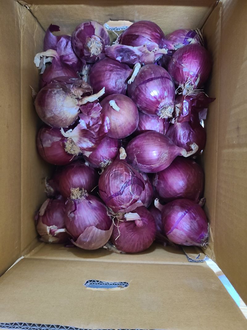 사느로님의 장터 구매 후기 썸네일