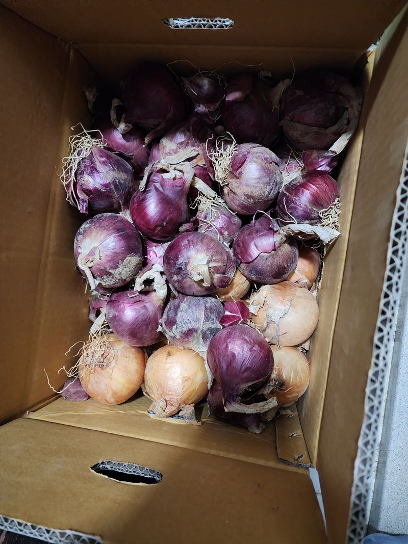 이강희님의 장터 구매 후기 썸네일