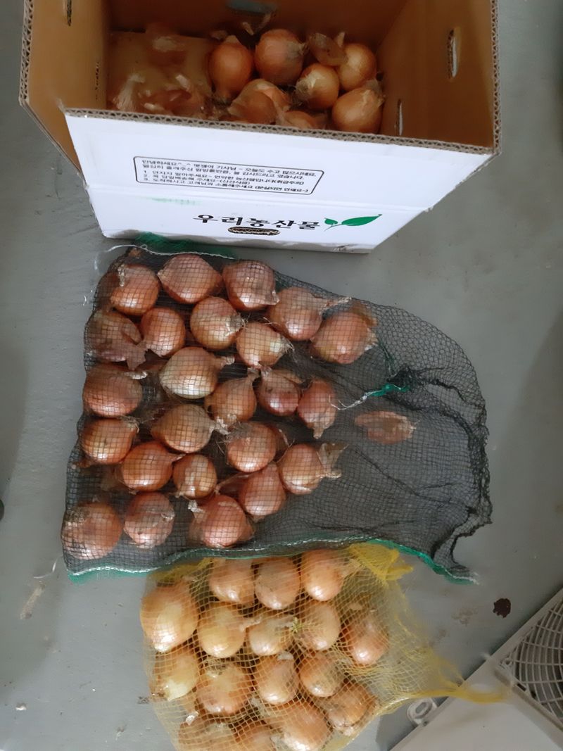 부유단감11776님의 장터 구매 후기 썸네일