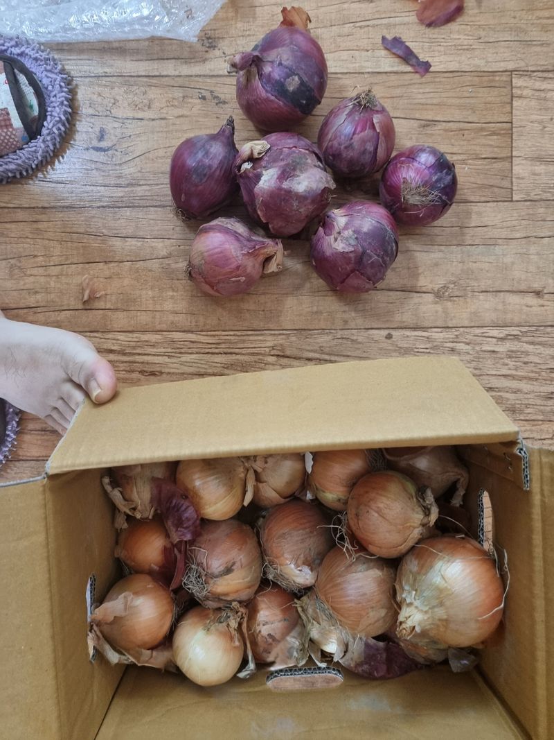 최광철님의 장터 구매 후기 썸네일