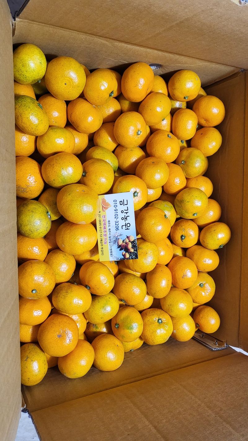 ♡5도2촌pys♡님의 장터 구매 후기 썸네일