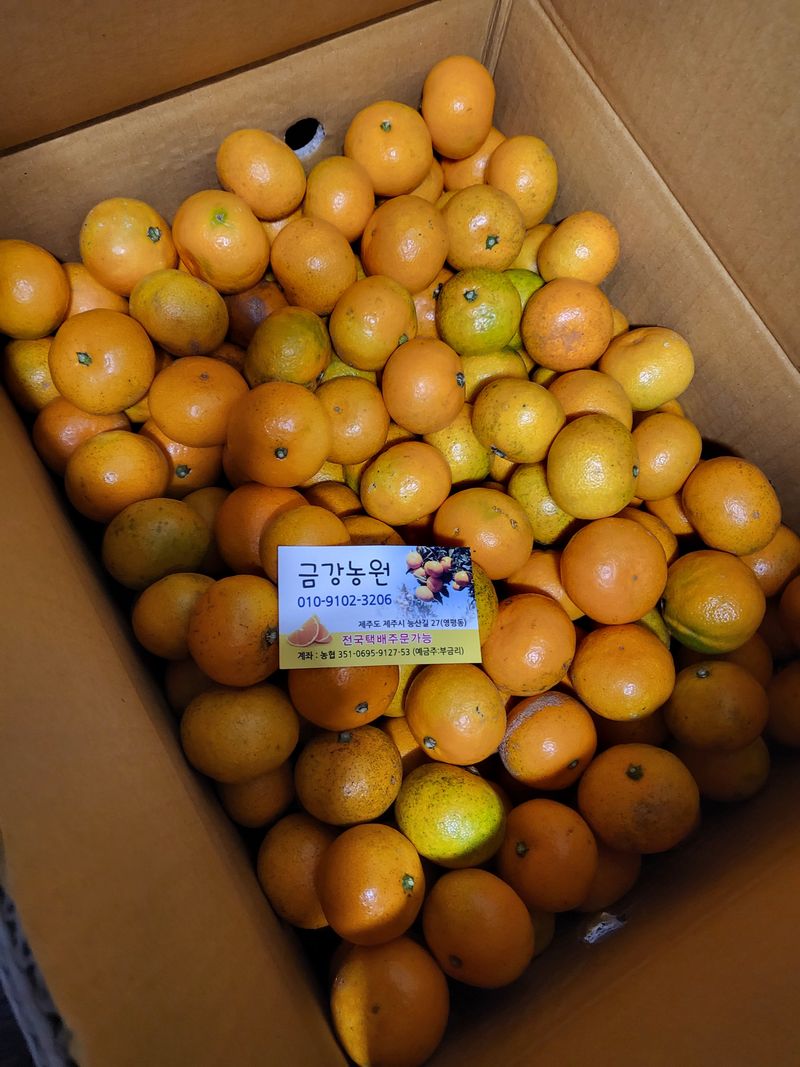 보리맘님의 장터 구매 후기 썸네일